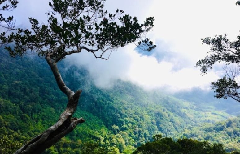 nui ca dam quang ngai